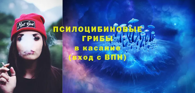 Галлюциногенные грибы Cubensis  Камешково 